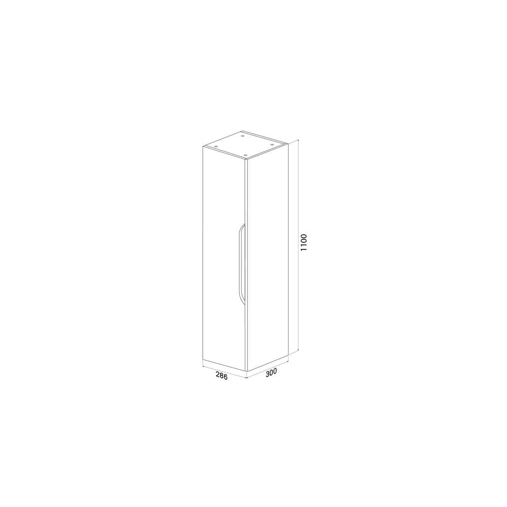 Пенал подвесной 30 см IDDIS Ray RAY30W0i97, белый глянцевый