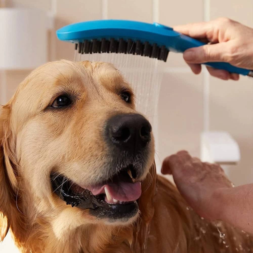 Ручной душ для собак Hansgrohe 150 3jet 26640540 с массажной струей, голубой