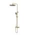 Душевая система IDDIS Duna с тропическим душем, изливом и термостатом DUNMGSTi06, матовое золото