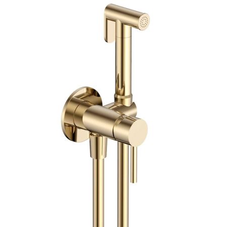 Комплект гигиенического душа (скрытый монтаж, лейка) AQUAme Siena AQM6217BG, шлифованное зозото Комплект гигиенического душа (скрытый монтаж, лейка) AQUAme Siena AQM6217BG, шлифованное зозото