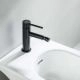 Смеситель для биде Aquatek Европа AQ1318MB матовый черный Смеситель для биде Aquatek Европа AQ1318MB матовый черный